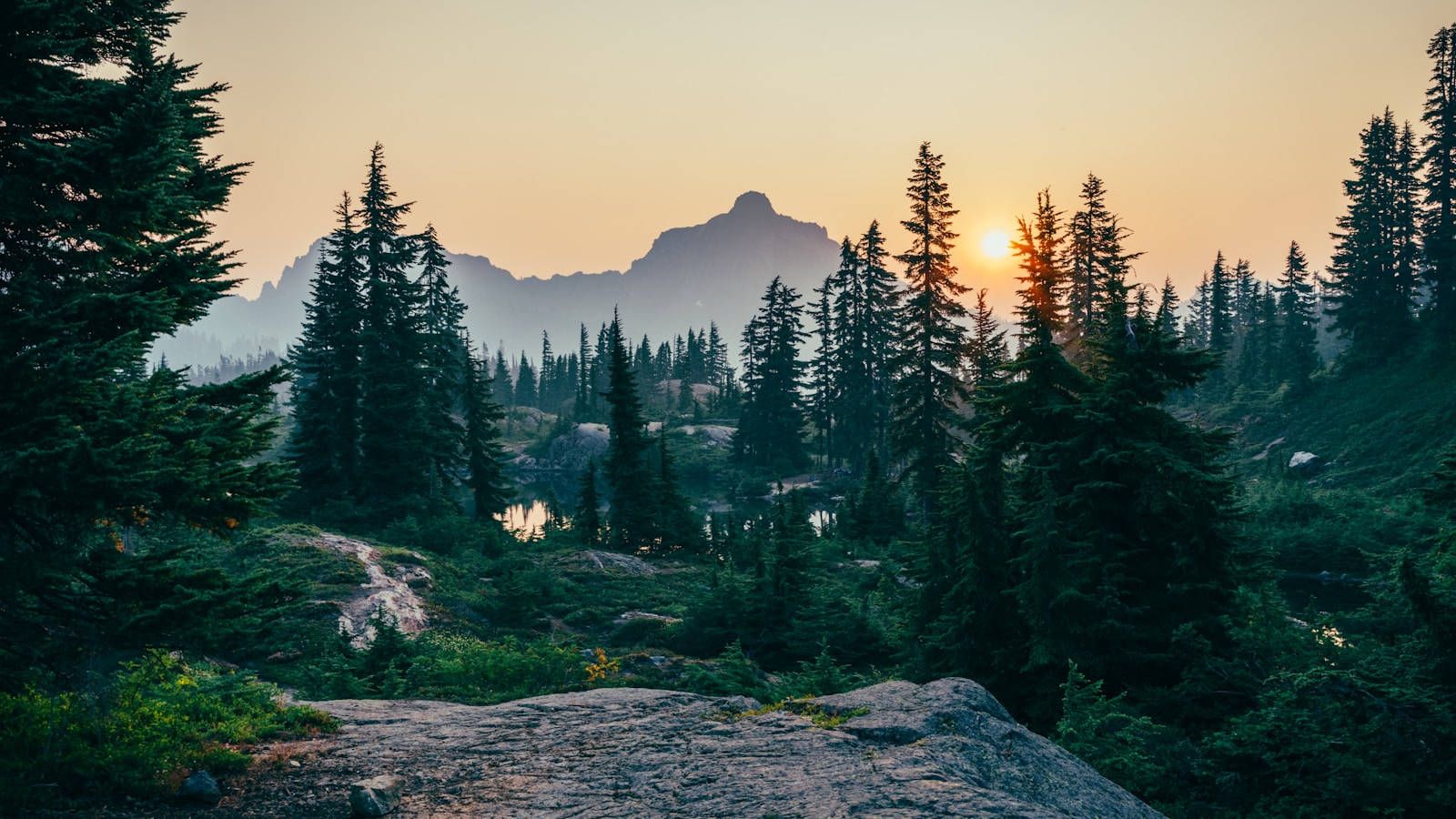 Sunset over a misty forest landscape, with tall evergreen trees framing a rocky path and distant mountains, reflecting serene natural beauty.